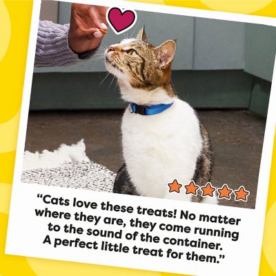 TEMPTATIONS Cat Treats Variety Pack with Tasty Chicken Flavor, Catnip Fever, & Surfers' Delight, 16 oz