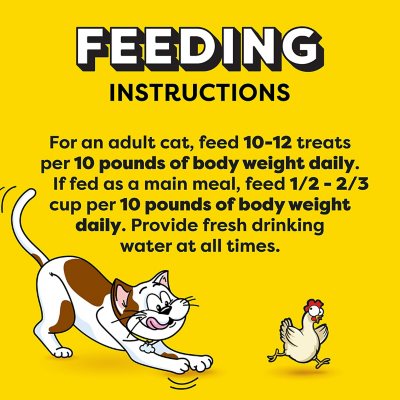 TEMPTATIONS Cat Treats Variety Pack with Tasty Chicken Flavor, Catnip Fever, & Surfers' Delight, 16 oz