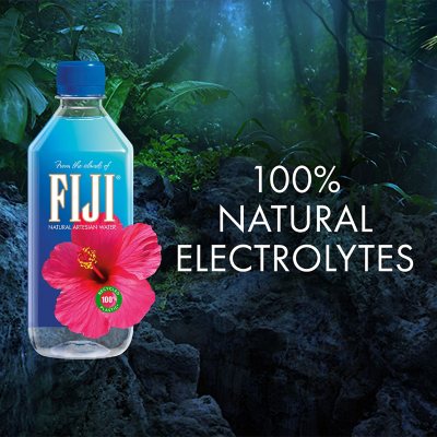 FIJI Natural Artesian Water, 16.9 fl. oz., 24 pk.