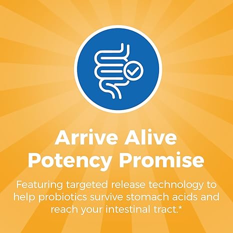 NewRhythm Probióticos 50 mil millones de UFC, 20 cepas, 60 cápsulas vegetales