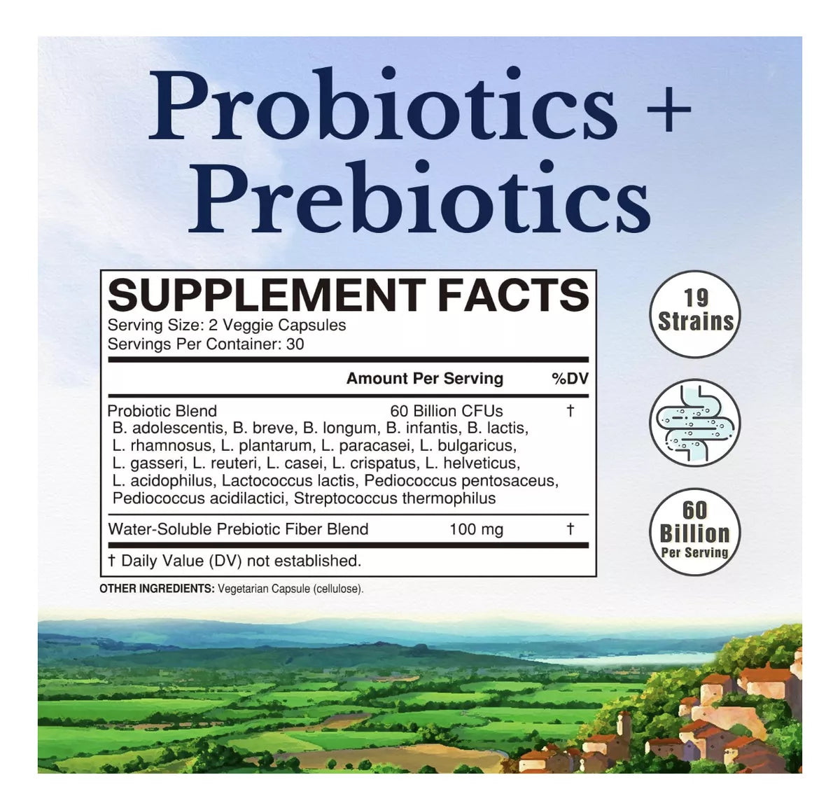 Vitalitown Probioticos 60 Billones Cfus 60 Cap Vegetarianas