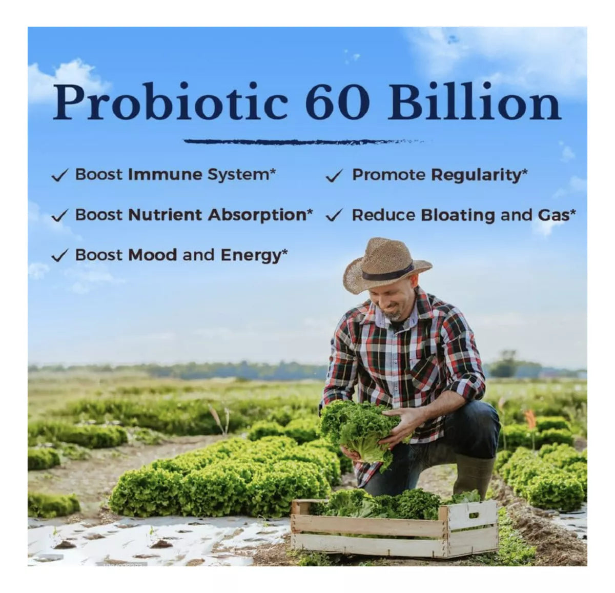 Vitalitown Probioticos 60 Billones Cfus 60 Cap Vegetarianas