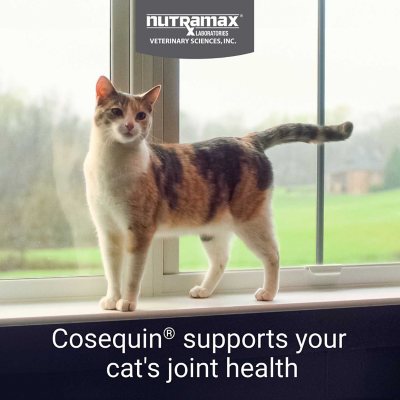 Nutramax Cosequin Joint Health Supplement for Cats, 55 capsules