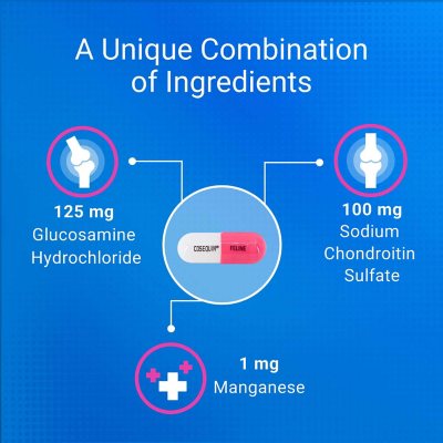 Nutramax Cosequin Joint Health Supplement for Cats, 55 capsules