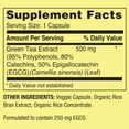 Spring Valley Green Tea 500mg 60 capsulas