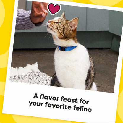 TEMPTATIONS MixUps Treats for Cats CATNIP FEVER Flavor 16 OZ