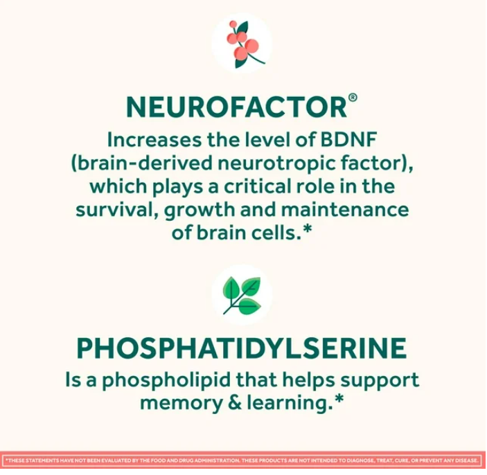 Neuriva Original Brain Health Supplement  45 Capsules