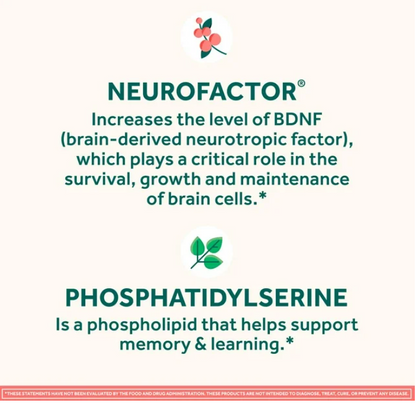 Neuriva Original Brain Health Supplement  45 Capsules